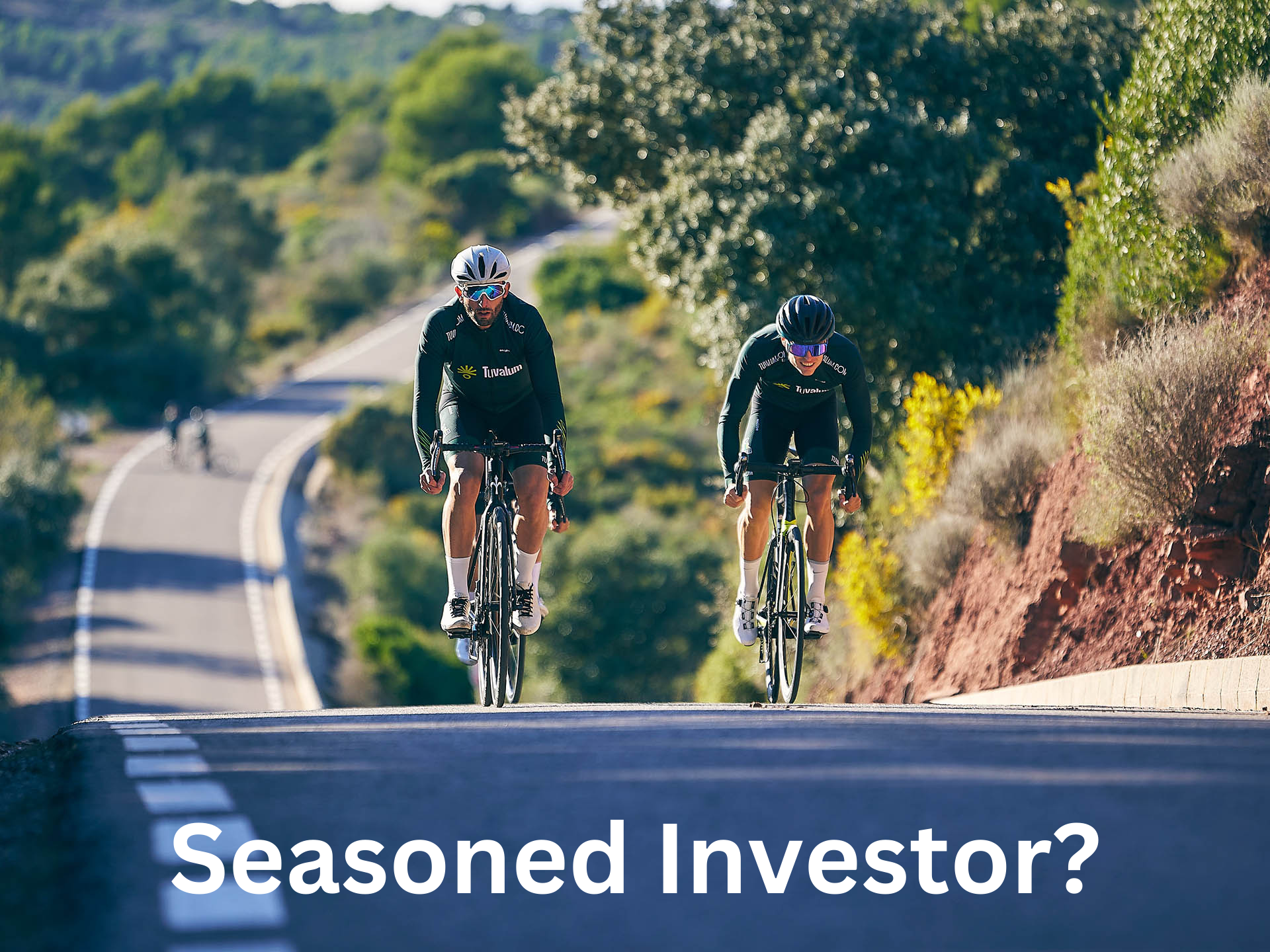 seasoned_investor